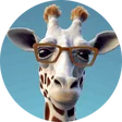 greg_dota_marseille