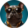 RafaelDumont77
